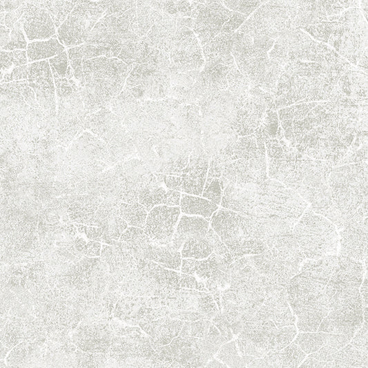 Textured Wallpaper of Premium Quality, Extra Large, Covers 178 sq ft per roll; Plastered, Grunge, Abstract in Grey
